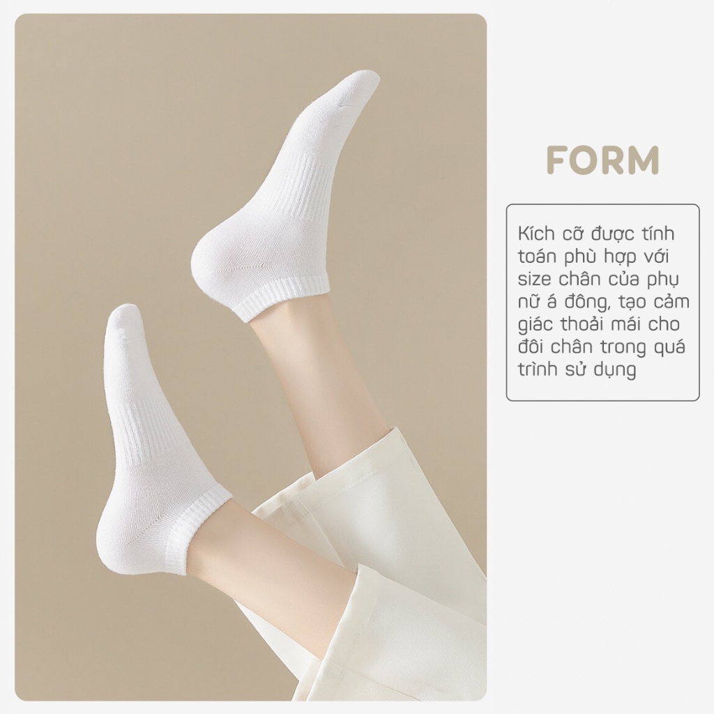 Tất vớ nữ trơn đơn giản basic 2 màu trắng đen 3 chiều cao, chất liệu cotton co giãn thoáng khí - Ekiu Shop