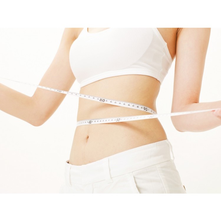 Trà túi lọc lá nam, giảm cân, nhuận tràng, detox, thanh lọc cơ thể - Thảo dược THAPHACO