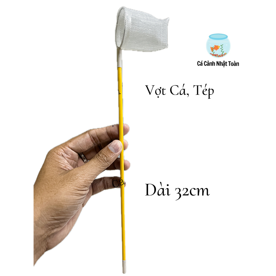 Vợt Vợt Tép Lưới Nano Định Hình (Không Gập Lưới, An Toàn Cho Tép) Dài 32cm