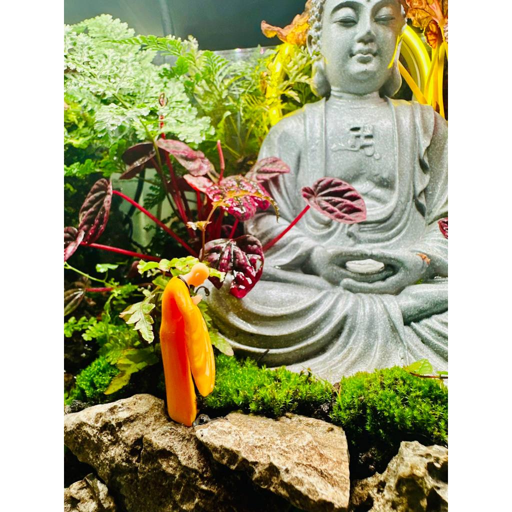 Mô hình Sư Cúi Bái Mini 5cm trang trí tiểu cảnh, non bộ, terrarium