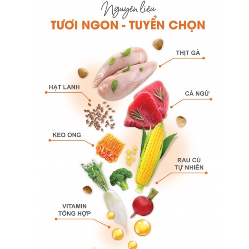 [1KG - HỎA TỐC] CATSRANG - Thức ăn Cho Mèo Mọi Lứa Tuổi hạt Catsrang 1kg