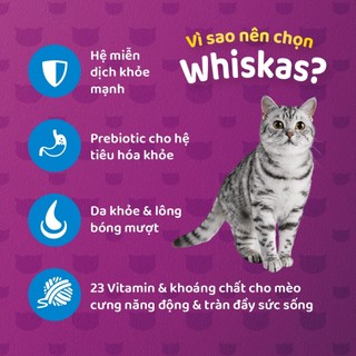 [2,7kg - 3kg] WHISKAS Thức ăn hạt có nhân cho mèo con và mèo trưởng thành ___