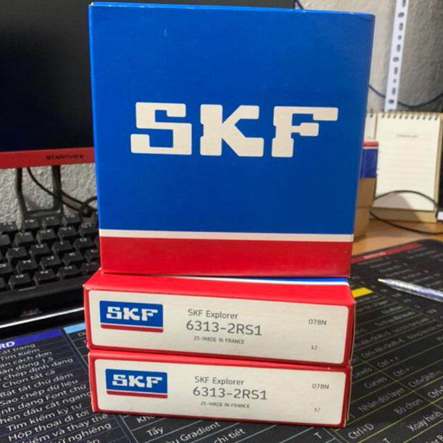 Vòng Bi 6313 SKF 2rs1