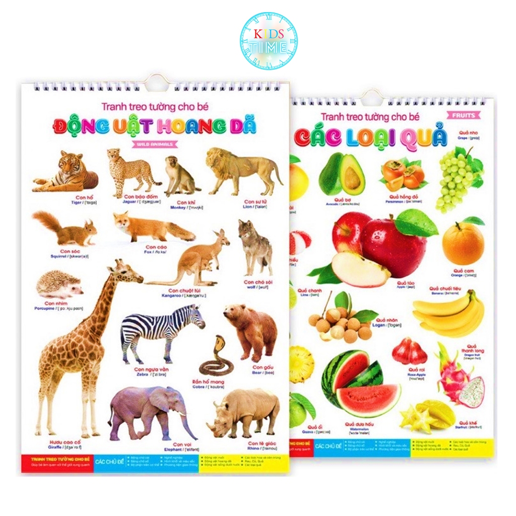 Bộ Tranh Treo Tường 14 Chủ Đề đọc chữ Cho Bé Mẫu mới nhất có Flie quét mã QR Nghe – Việt Hà