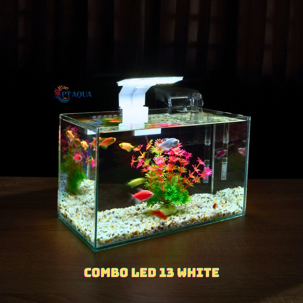 Bể cá mini để bàn 30x15x18 Nhiều Mẫu phù hợp nuôi cá cảnh mini để bàn ...