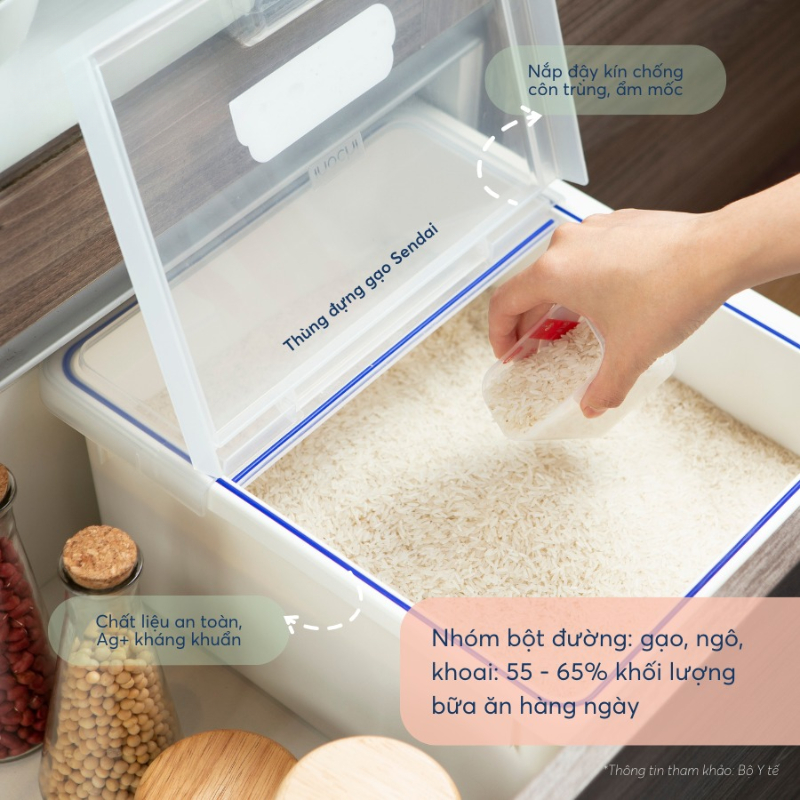 Thùng gạo Sendai Inochi 12kg kèm nắp và cốc đong chống ẩm mốc, tiện lợi (tiêu chuẩn Nhật Bản)
