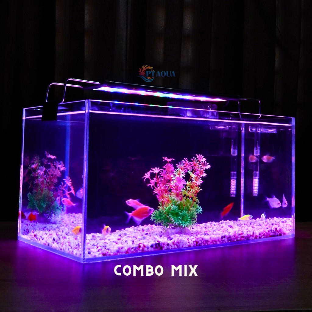 Bể cá mini 40cm COMBO đầy đủ CHỌN MẪU phù hợp nuôi cá cảnh mini để bàn