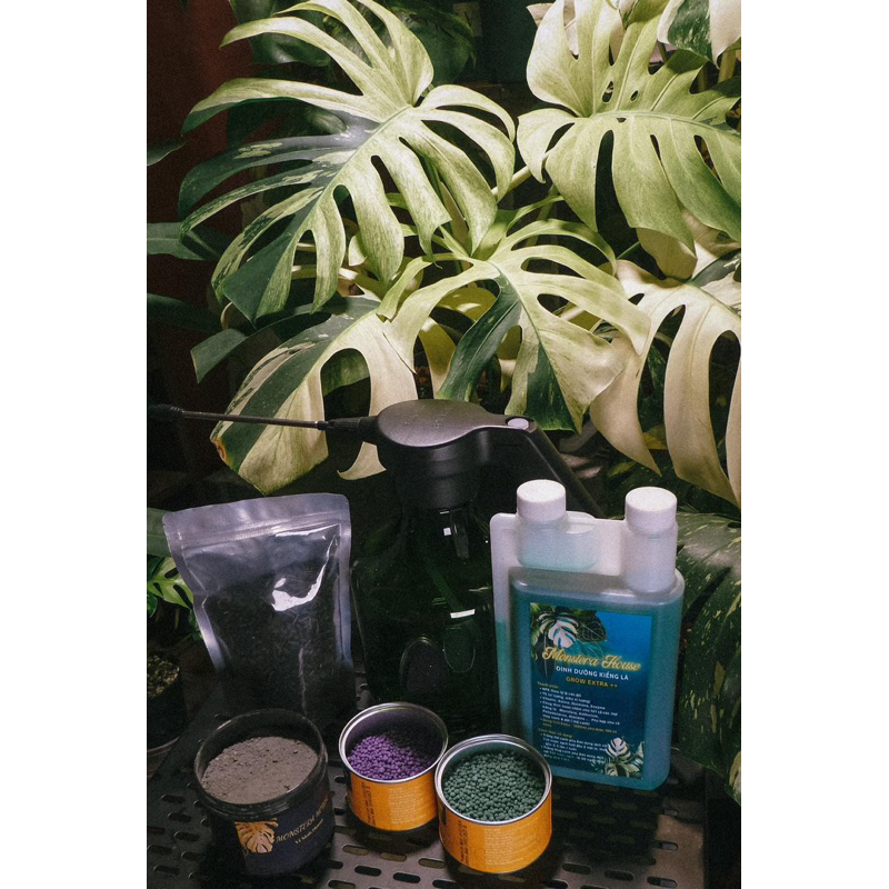 Ưu đãi 10% Combo Siêu Phát Triển, phân bón dinh dưỡng kiểng lá GrowExtra+, Visinh Humic, Đạm cá Nauy