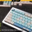 Keycap pbt Angry Cat Profile MOA nhựa PBT họa tiết không mờ cho bàn phím cơ -pcmastersetup