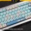Keycap pbt Angry Cat Profile MOA nhựa PBT họa tiết không mờ cho bàn phím cơ -pcmastersetup