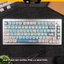 Keycap pbt Angry Cat Profile MOA nhựa PBT họa tiết không mờ cho bàn phím cơ -pcmastersetup