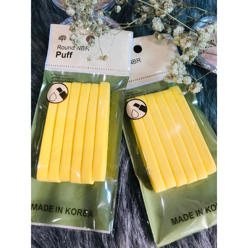 Mút nở rửa mặt bọt biển (6 miếng)