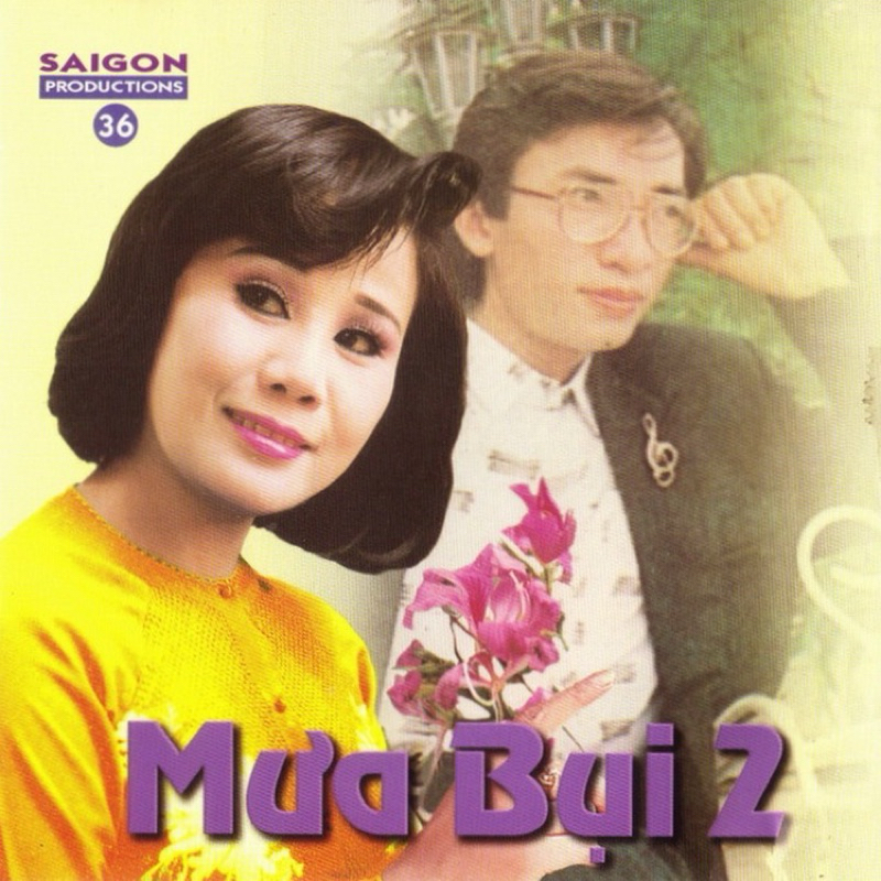 Băng Cassette Mưa Bụi 2 - Đình Văn, Tài Linh