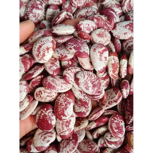 Đậu Ngự 1KG – Bùi, Thơm, Hạt Chọn Lọc – Nấu Chè, Nấu Ăn