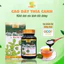 Cao dây thìa canh Mai Thị Thuỷ hộp 100g-sản phẩm dành cho người tiểu đường, mỡ máu