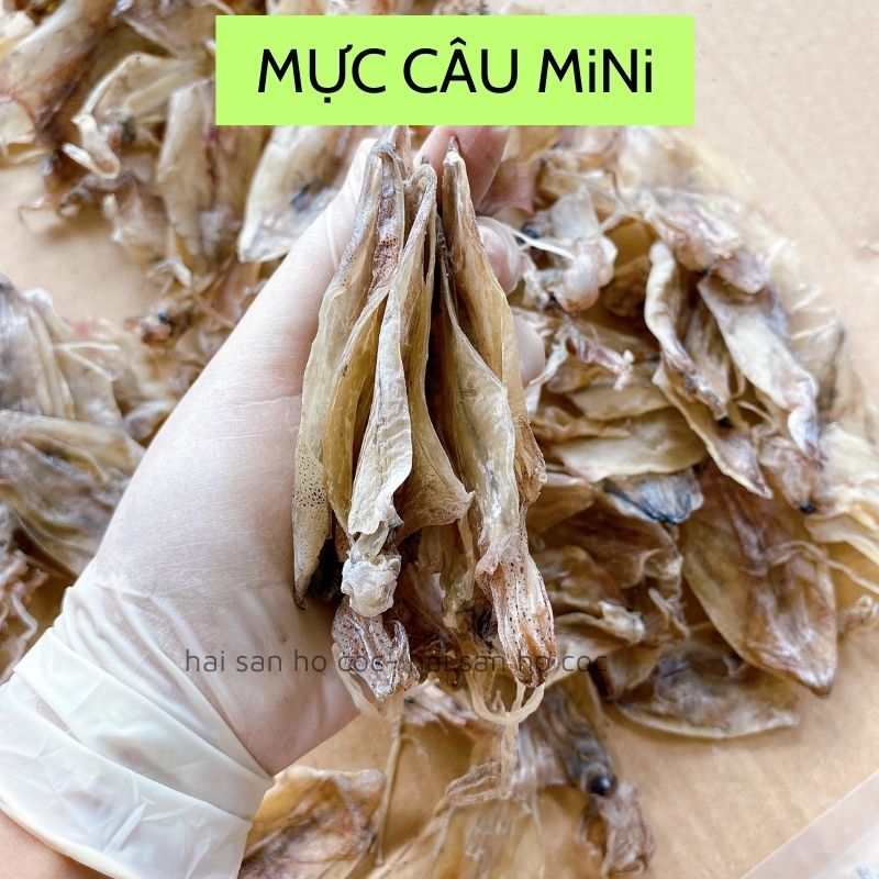 mực khô mini không cán ép -chuẩn mực câu | Shopee Việt Nam