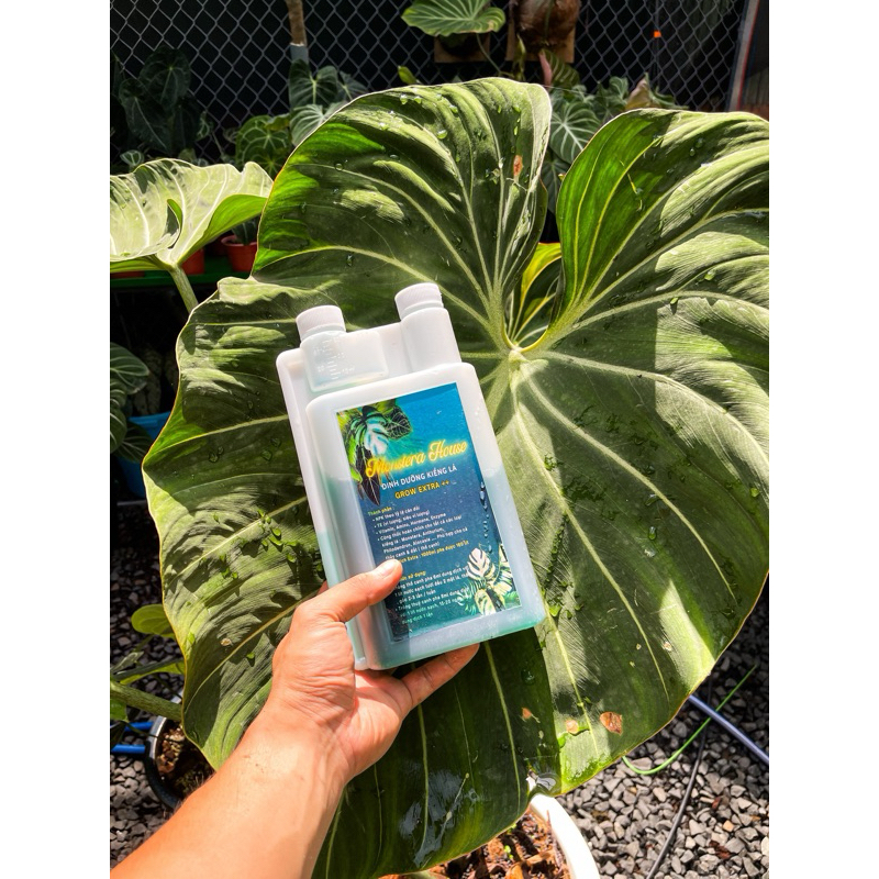 Dinh dưỡng kiểng lá Grow Extra+ , phân bón monstera house, phân bón lá , dung dịch thuỷ canh