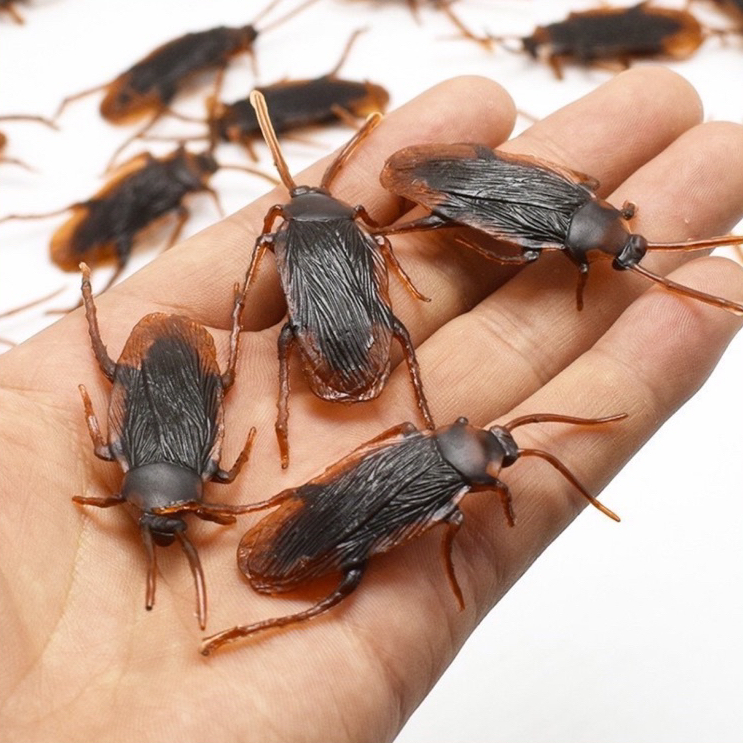 (SET 5) Côn Trùng Giả Gián Nhìn Như Thật, Trò chơi tiểu cường trôn trôn Việt Nam