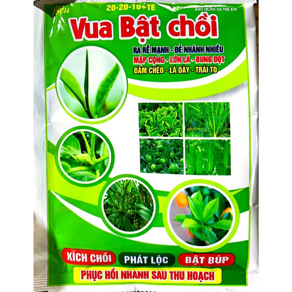 Vua bật chồi HT GREEN phân bón hỗn hợp ra rễ mạnh, đẻ nhánh nhiều, mập ...