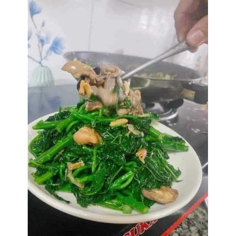 ComBo 3 Cây Mì Chính BiNa Chay A 🌈 Loại Lá Xẻ Ăn Cực Ngon và Năng Suất