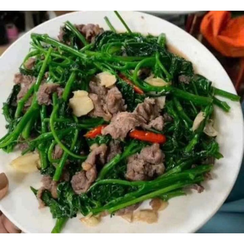 ComBo 3 Cây Mì Chính BiNa Chay A 🌈 Loại Lá Xẻ Ăn Cực Ngon và Năng Suất