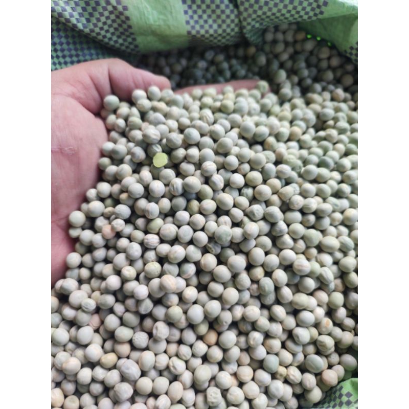 ( 1 kg) Đậu hà lan sống