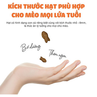 Thức ăn Hạt Cateyes 1kg Seal, Hạt Cat Eye, Cat's Eye Cho Mèo Mọi Lứa Tuổi