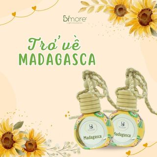 Nước hoa Labambi Valley No.14 - MADAGASCA treo không gian ô-tô, tủ quần áo, tủ giày, phòng khách, phòng ngủ,..chai 10ml