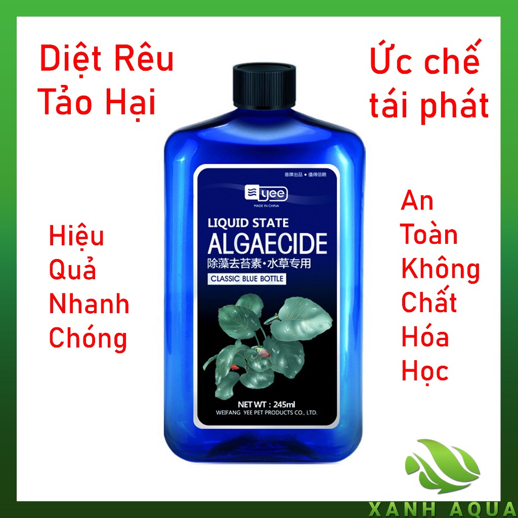 [YEE] Diệt rêu tảo hại - Dung dịch trị rêu bể cá an toàn, ngăn ngừa rêu ...