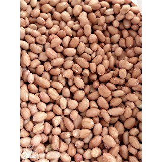 1 kg lạc nhân ( đậu phộng) quê bóc tay chính hiệu