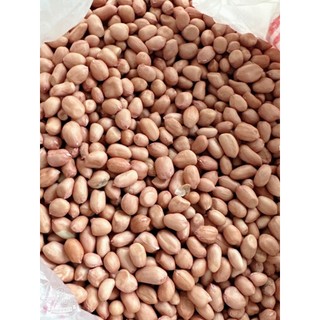 1 kg lạc nhân ( đậu phộng) quê bóc tay chính hiệu