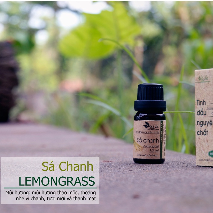 Tinh Dầu Sả Chanh Nguyên Chất – Khử Mùi, Đuổi Muỗi, Kiến, Gián – Kháng Khuẩn, Thư Giãn, An Toàn