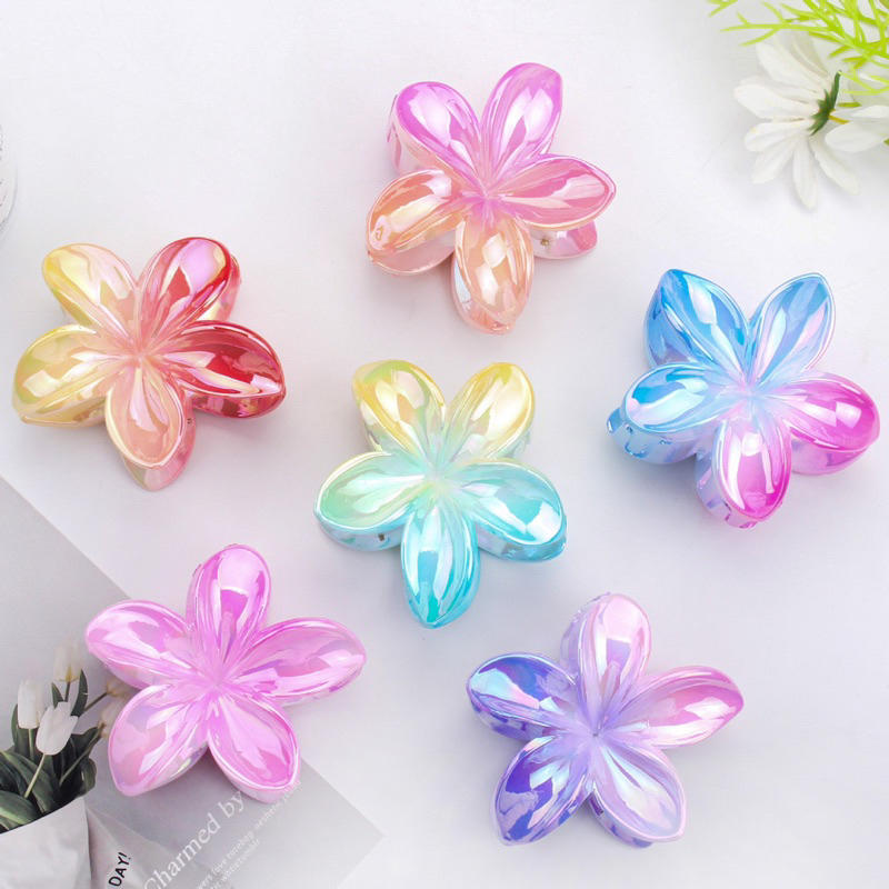 KẸP HOA SỨ MÀU LOANG MẪU MỚI SIÊU ĐẸP