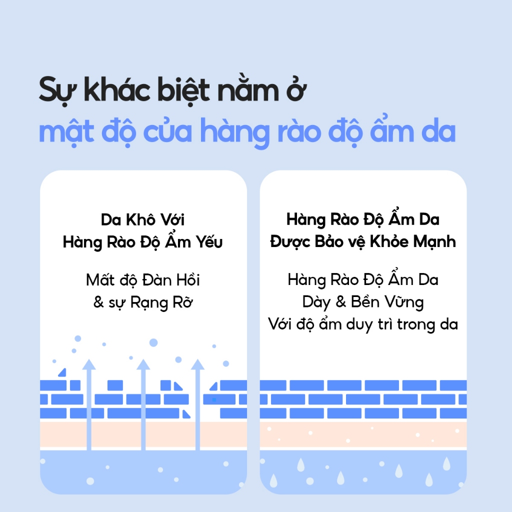 Ảnh Kem Dưỡng Ẩm Laneige Water Bank Blue Hyaluronic Moisture Cream 50ml (Da Khô Và Xỉn Màu) 3