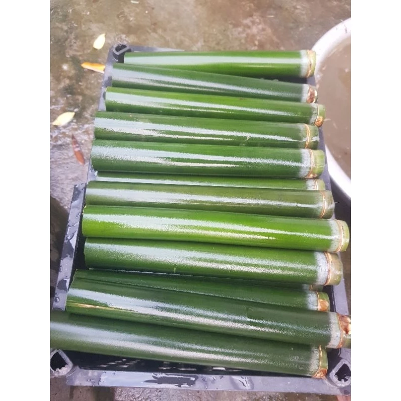 10 - Ống nứa nấu cơm lam dài từ ( 16 - 30 cm) , đường kính : 3 - 3,5 cm.