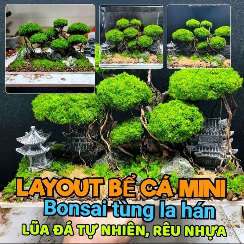 Layout tiểu cảnh setup sẵn cho bể cá mini để bàn, sử dụng vật liệu tự ...