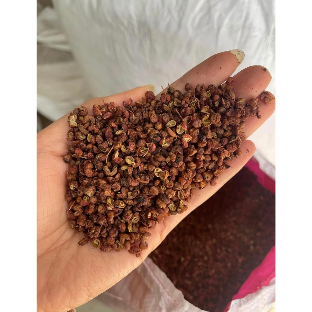 Hạt Xuyên Tiêu Đỏ (Hoa Tiêu) Dùng Để Tẩm Ướp Gia Vị Hàng Chất Lượng