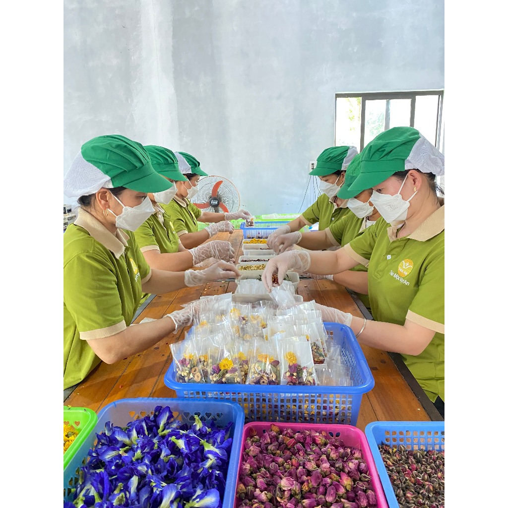 Thiết kế của Trà Thảo Mộc Điều Hòa Kinh Nguyệtiêu Chuẩn