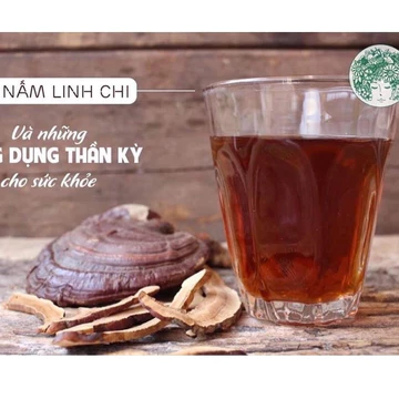 1kg Nấm linh chi đỏ (hồng chi ) rừng phơi khô loại nguyên cây là thái lát sẵn