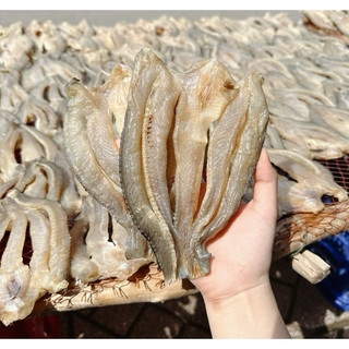 500Gram khô cá lóc xẻ non hàng đặt biệt, khô được phơi 4 nắng nên vận chuyển đi xa yên tâm.