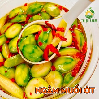 Cây Cóc Thái sẵn trái THIỆN FARM quả chua giòn, không hạt, trồng chậu, trồng thùng xốp ăn