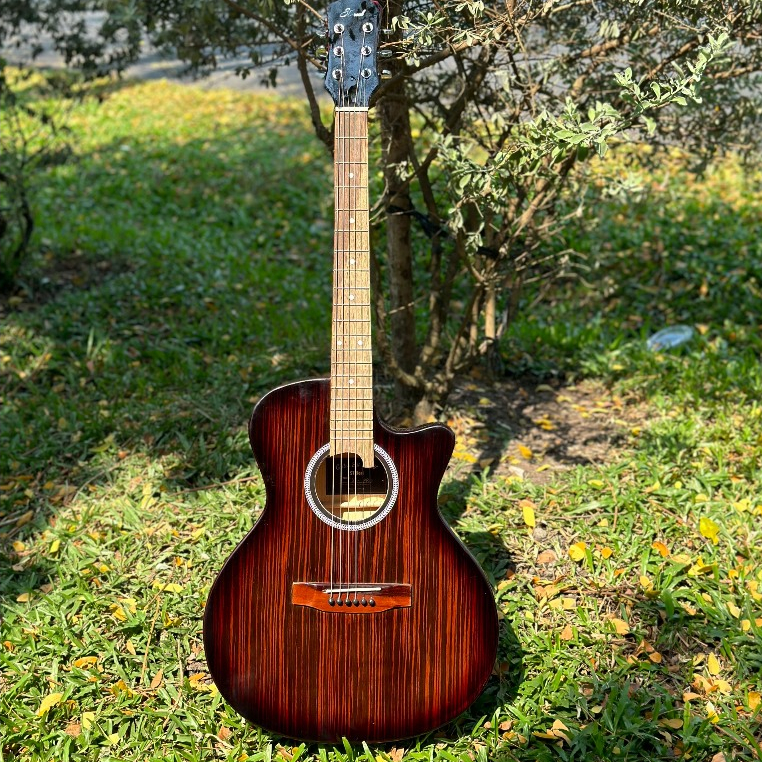 Guitar Sài Thành - Review Đàn Guitar gỗ POLYWOOD EBONY ST.Real Guitar Sài Thành