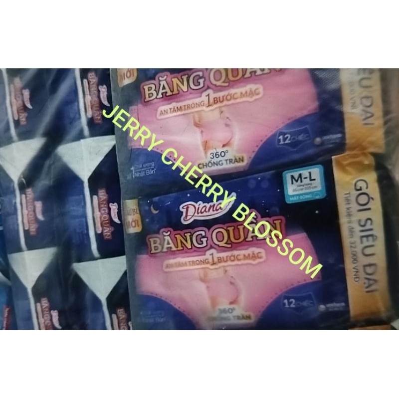 1 gói Băng vệ sinh dạng quần Diana Beauty hip size ML 12 miếng [vòng hông 85-105cm]