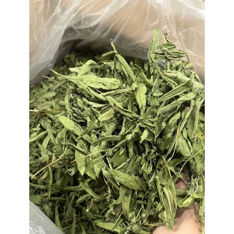 Cỏ Ngọt Nguyên Lá Tây Bắc – Sạch, Thơm Ngon – Dễ Dùng