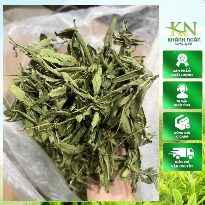 Cỏ Ngọt Nguyên Lá Tây Bắc – Sạch, Thơm Ngon – Dễ Dùng