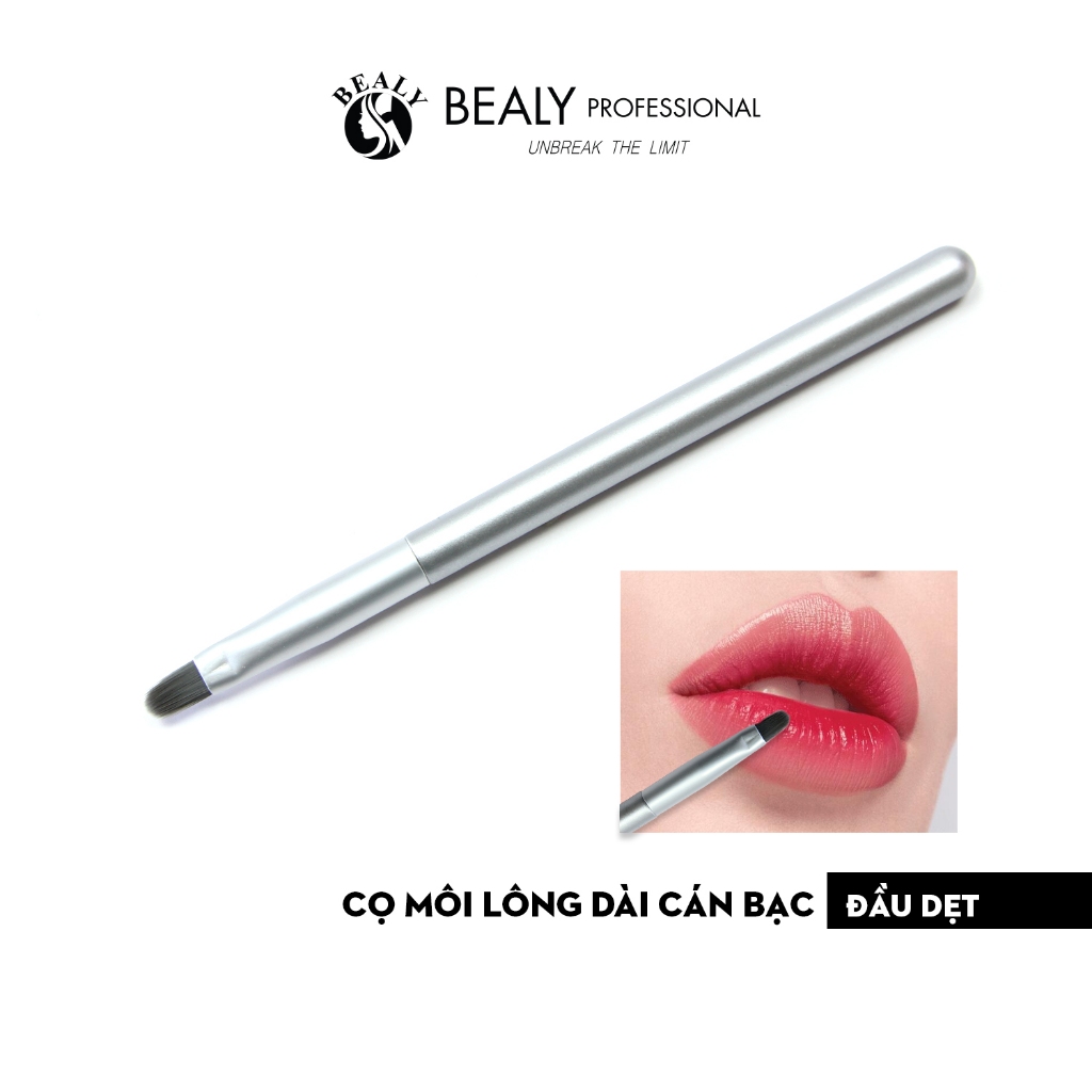 Ảnh CỌ MÔI LÔNG DÀI ĐẦU NHỎ CÁN BẠC 1