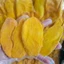 Xoài sấy dẻo nguyên miếng [Có hồ sơ công bố- hóa đơn VAT]