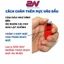 Làm Con Dấu QC PASS Giá Rẻ Lấy Ngay