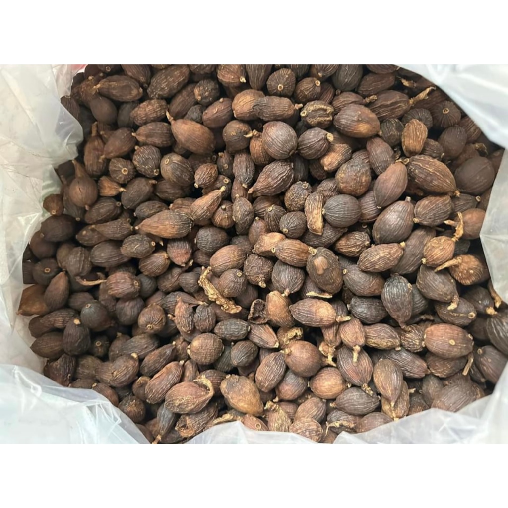 500GR Kha Tử Khô Thượng Hàng Hỗ Trợ Giảm Ho, Cải Thiện Tiêu Hoá