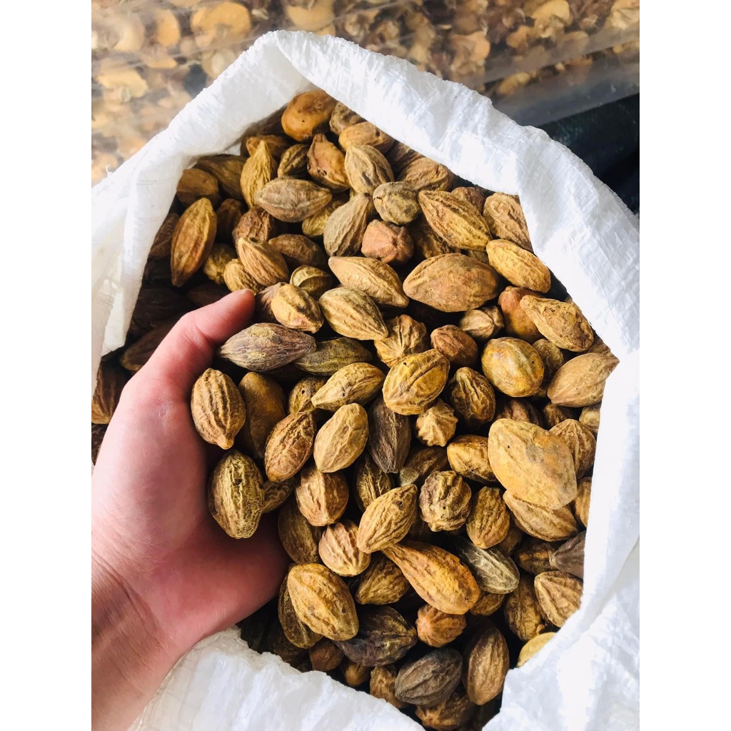 500GR Kha Tử Khô Thượng Hàng Hỗ Trợ Giảm Ho, Cải Thiện Tiêu Hoá